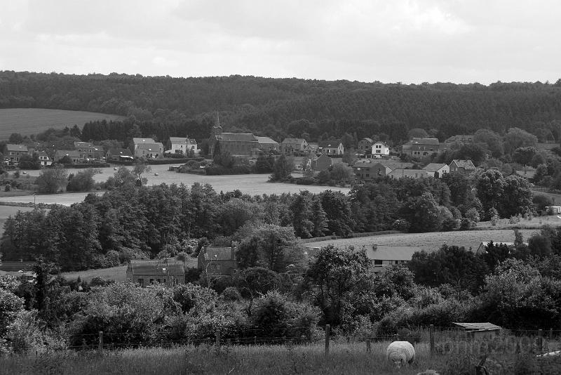 IMG_8831.JPG